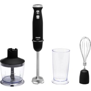 FRULLATORE 4 IN 1 PRINCESS HAND BLENDER SET