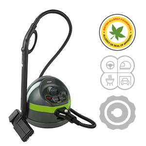 VAPORETTO POLTI CLASSIC 65